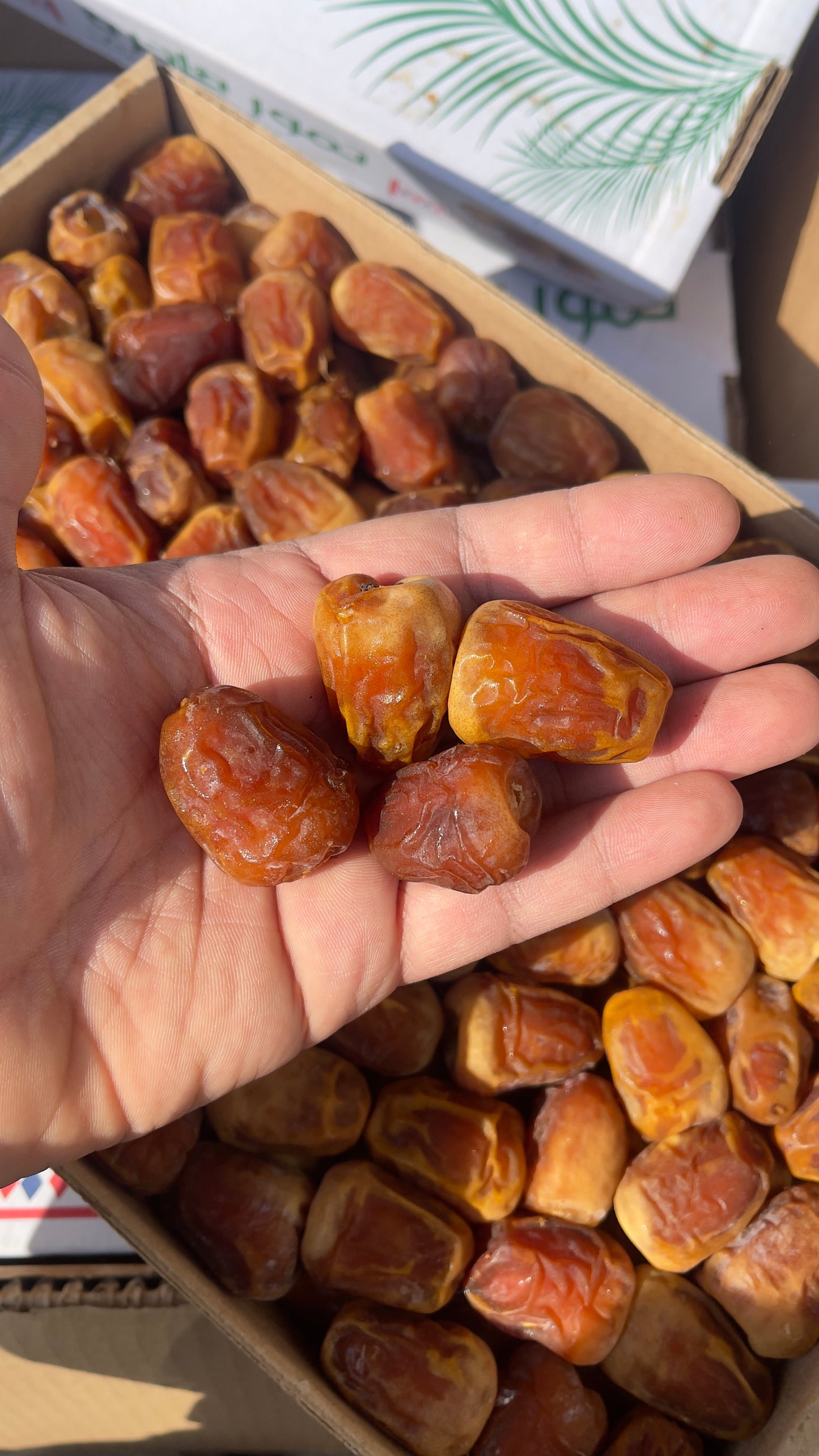 سكري جالاكسي القصيم