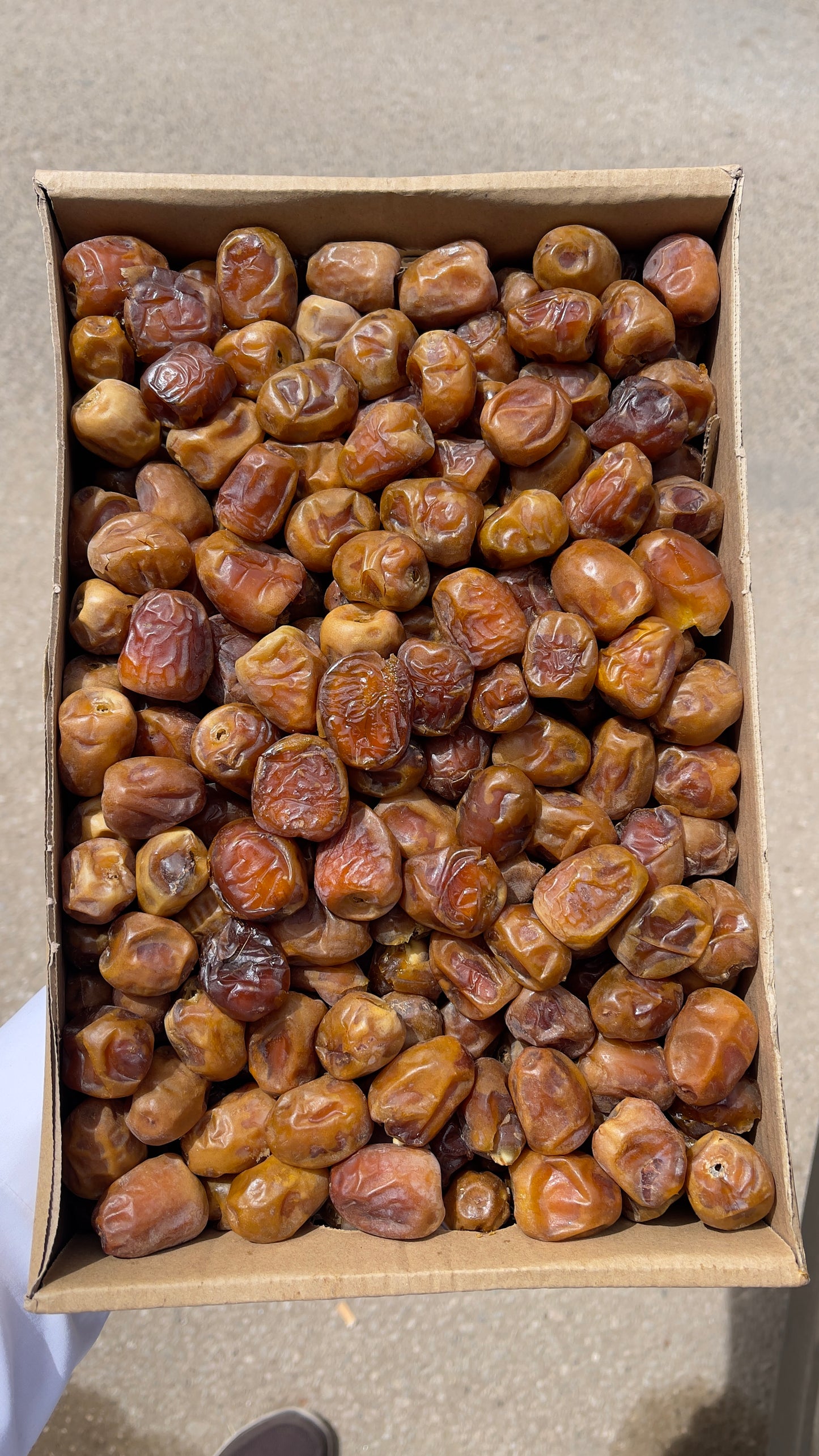 رطب سكري القصيم ( حبة وسط )